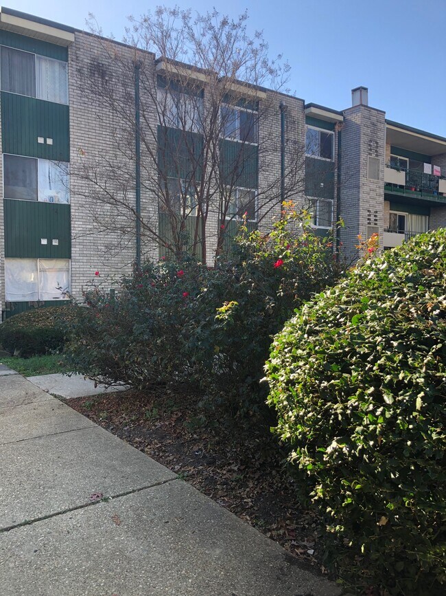 Building Photo - 9276 Adelphi Rd
