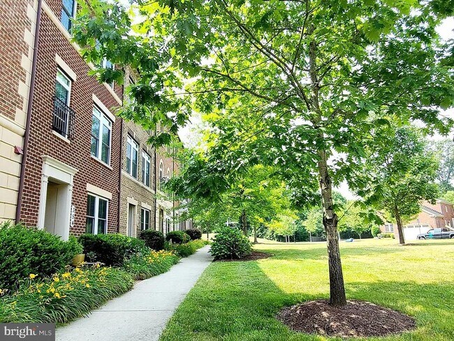 Foto del edificio - 342 White Ash Pl