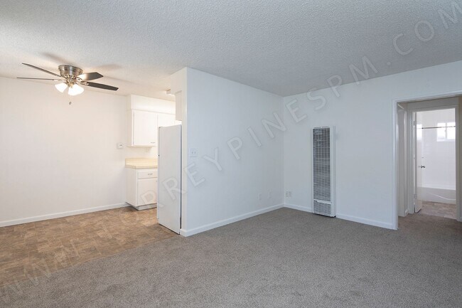 Foto del edificio - Charming 1 Br Near Sunset Cliffs with Parking