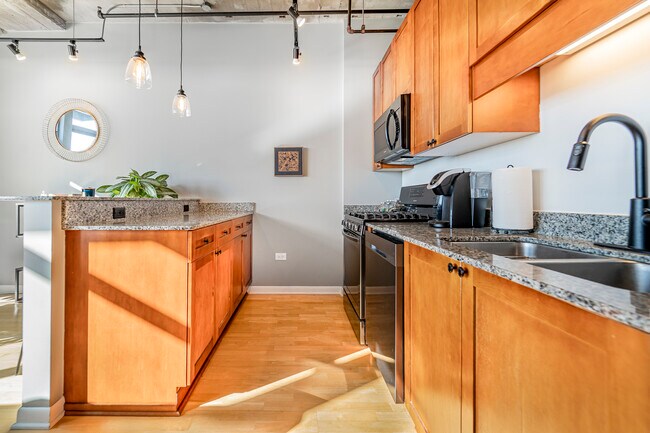 Foto del edificio - 1550 S Blue Island Ave