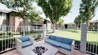 This outdoor community space is thoughtfully designed for leisure and social gatherings, offering a variety of amenities set against a backdrop of mature trees and well-maintained landscaping. The centerpiece is a generously sized swimming pool with clear blue water, surrounded by a wide pool deck finished in a warm terracotta tone. A row of blue-and-white lounge chairs lines the poolside, providing ample space for sunbathing, while teal-canopied cabanas offer shaded retreats with additional reclining seating for those seeking respite from the sun.

Adjacent to the pool area is a dedicated outdoor lounge space featuring wicker-style sectional seating with blue cushions arranged around a stone fire pit, creating an inviting setting for evening gatherings. Potted palms and trimmed hedges add natural texture and privacy throughout the area. The space is enclosed by white metal fencing that delineates the amenity zone while maintaining open sightlines to surrounding green lawns and buildings. Overhead market-style umbrellas near additional seating areas provide further shade options. Overall, the space balances active recreation with relaxed comfort, making it a well-rounded outdoor amenity area.