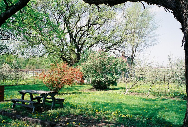 Back yard - 6374 S Scottdale Rd