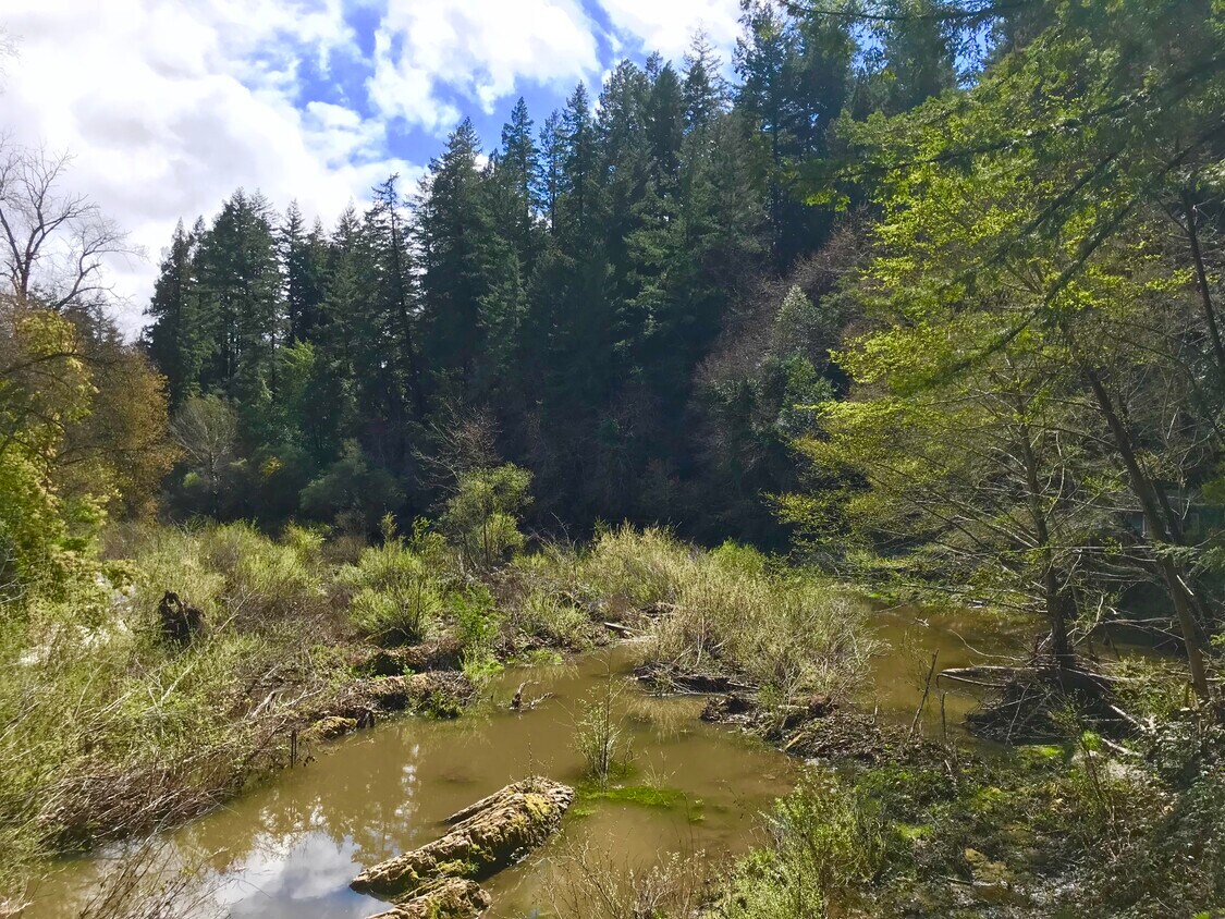 Foto principal - 9550 Old County Rd