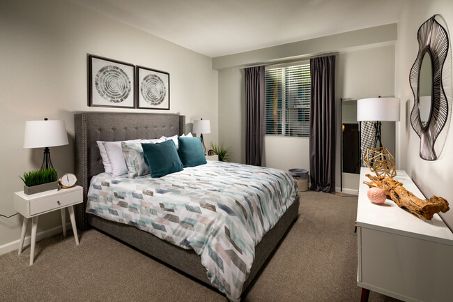 Pet-Friendly Apartments in La Mesa CA - The District - Spacious Bedroom with Plush Carpeting - The District Apartments