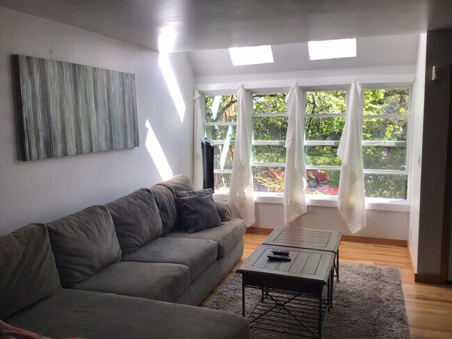 Living room with recently renovated front windows and skylights. - 1816 E. Jefferson St.