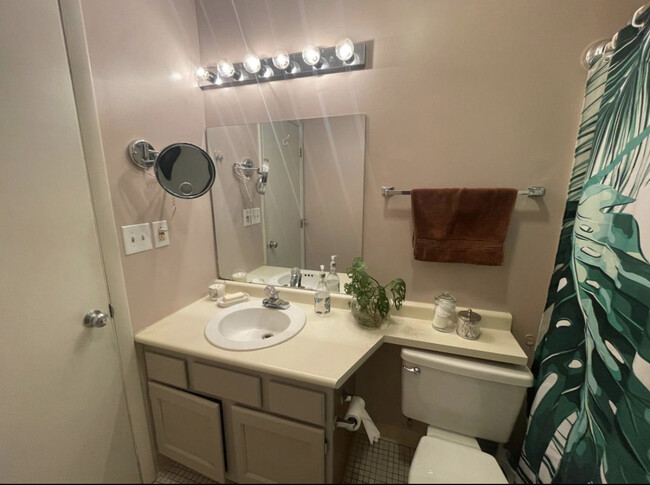Bathroom - 1204 Whitney Ave