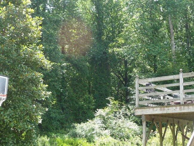 Foto del edificio - 2763 Winding Ln NE