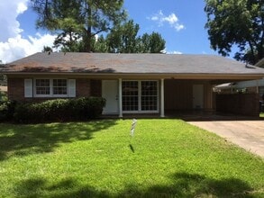 Building Photo - 317 Levin Ln