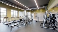 This fitness center is designed to support a comprehensive workout experience within a single, open-plan floor. The space is outfitted with a diverse array of exercise equipment, including treadmills, cable machines, leg press stations, and a dedicated free weights area complete with a dumbbell rack and weight bench. The rubber-floored workout area provides a safe and durable surface suited for both machine-based and functional training.

Architecturally, the space features a dark, industrial-style ceiling with exposed ductwork and bold linear LED lighting that runs the length of the room, casting bright, even illumination across the entire floor. Large windows along one wall allow substantial natural light to fill the space, creating an open and energizing atmosphere. Olive-toned accent walls complement the neutral tones of the flooring and equipment, contributing to a modern and focused aesthetic.

Full-length mirrors are positioned strategically to allow users to monitor their form, while the overall layout ensures ample room to move freely between stations. The combination of thoughtful design, high-quality equipment, and an abundance of natural and artificial light makes this fitness center a functional and motivating environment for users of all fitness levels.