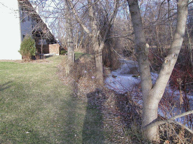 View - Cottonwood Creek Apartments