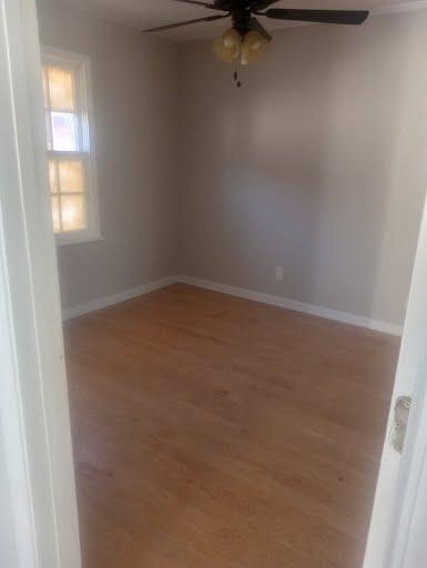 Photo - 1971 Beech Ave House