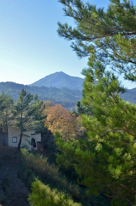 Primary Photo - Spyglass Hill Condo Featuring Scenic Mt. T...