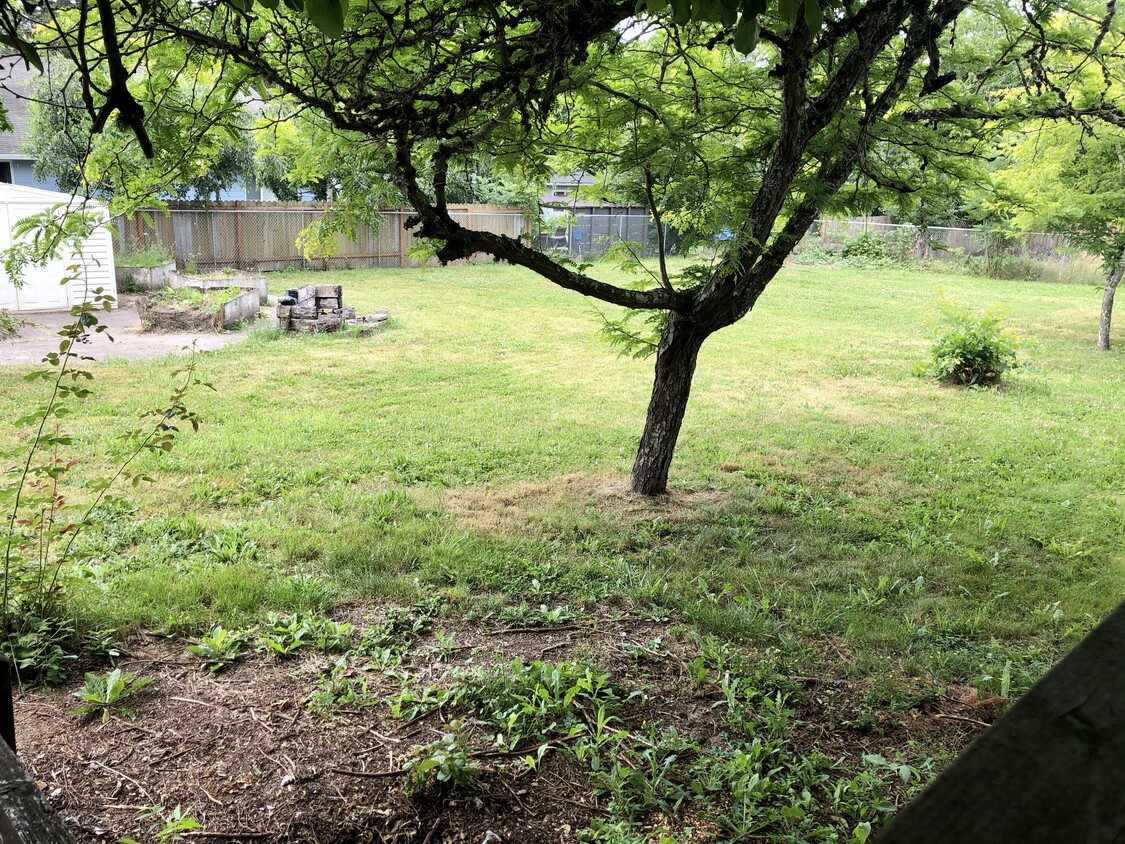 Backyard - 105 W 2nd St