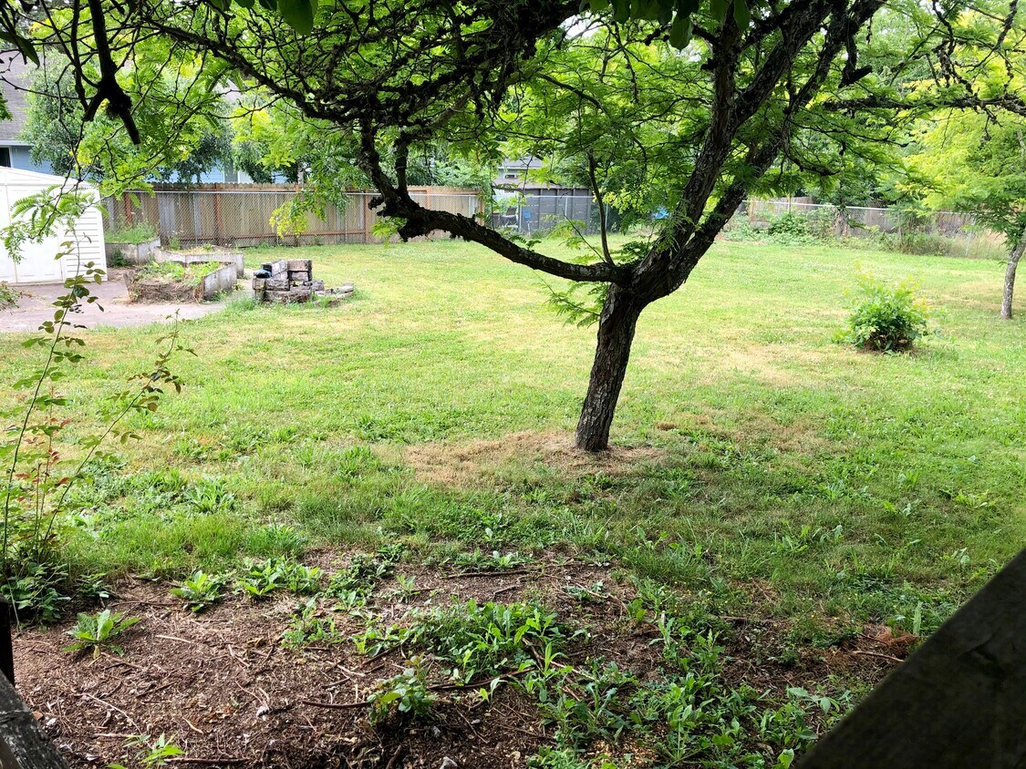 Patio interior - 105 W 2nd St