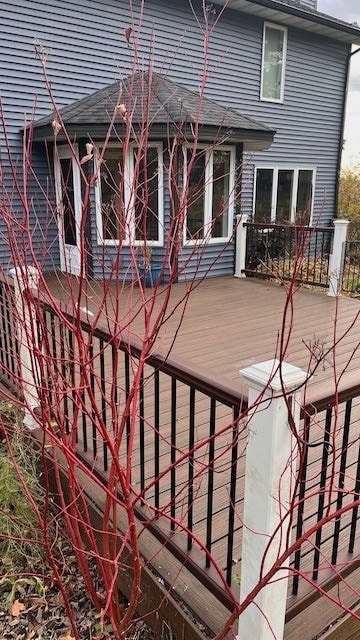 Building Photo - 2521 Williams Dr