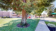 Located at 6312 Birdcage St in Citrus Heights, California, this well-appointed outdoor community space offers a variety of recreational amenities set within a lush, landscaped environment. The grounds are anchored by expansive stretches of well-maintained green lawn, shaded by a generous canopy of mature trees that provide a welcoming atmosphere throughout the year.

A full-size basketball court serves as a central recreational feature, complete with regulation hoops and clearly marked court lines, bordered by neatly landscaped planting beds filled with ornamental grasses, flowering shrubs, and seasonal color. Adjacent to the court, a dedicated children's playground area offers multiple play structures, including slides, climbing walls, and jungle gym components, all set safely over a wood chip surface.

A single-story clubhouse building with large glass-panel doors and a gabled roof provides a gathering space for residents, flanked by a shaded outdoor seating area enclosed by decorative iron fencing. Paved walkways wind throughout the grounds, connecting the various amenity zones and providing easy pedestrian access. Ample on-site parking is integrated into the community layout, lined with trees and turf strips. The overall environment is open, well-lit by natural sunlight, and thoughtfully designed to serve an active residential community.