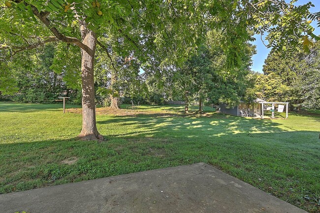 Building Photo - 3 Bedroom / 1 Bath Home
