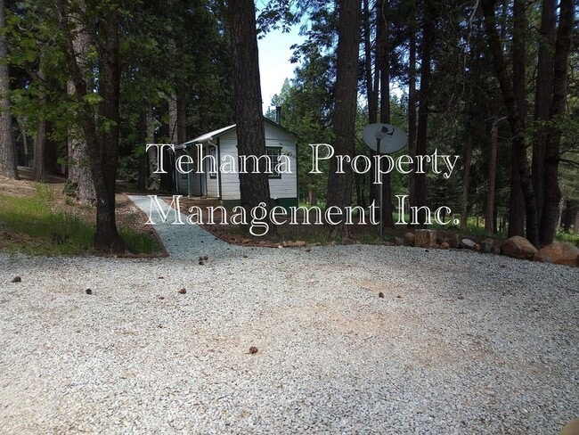Foto del edificio - Pine Ridge Park Estates