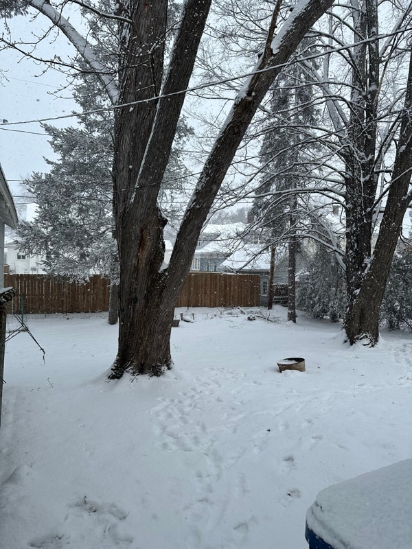 Foto del edificio - 616 Dekalb St