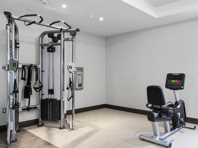 Building Photo - The Cornerstone at Hauppauge 55+ Active Adult Apartment Homes