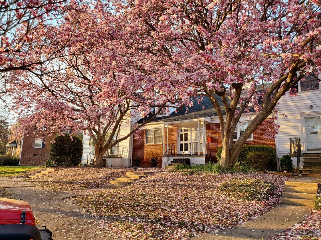 Foto principal - 1936 Smallwood Dr