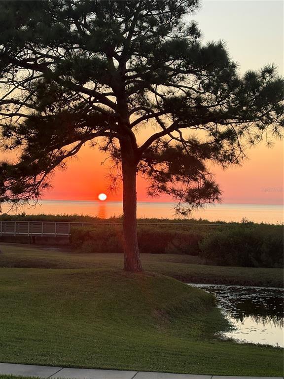 Foto del edificio - 621 Windrush Bay Dr