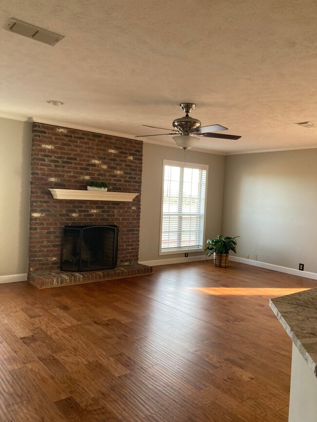 Living Room - 241 Elm Dr