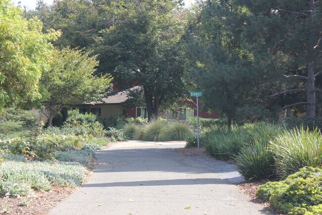 Bike path - 2861 Bidwell St