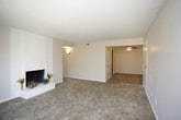 This single-floor space presents a practical and accessible layout, with all areas contained within one level for seamless movement throughout. The single-story design lends itself to an open and connected atmosphere, eliminating the need for stairs and creating a cohesive living or working environment.

Without additional details on room configuration, square footage, or specific architectural features, a comprehensive account of the interior layout remains limited. However, the single-level structure is a defining characteristic that contributes to the overall functionality and ease of navigation within the space. Such a layout is well-suited to a variety of uses, offering flexibility in how the interior can be arranged and utilized.

The absence of multiple floors encourages a grounded, unified spatial experience, where transitions between areas feel natural and uninterrupted. Whether the space features an open-plan design or a series of defined rooms, the single-floor arrangement supports a practical and efficient use of the available footprint. Further details regarding finishes, natural light, and specific room features would provide a more complete picture of what this space has to offer.