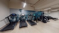 This fitness center is organized across a single floor into distinct training zones, offering a comprehensive workout environment for a variety of exercise routines. The space features light wood-tone flooring throughout, which contrasts cleanly against white walls and exposed ceiling infrastructure finished in white, giving the facility a modern, industrial-inspired aesthetic.

The cardio zone is highlighted by a striking teal and deep green tropical palm mural that runs along the back wall, creating a dynamic visual backdrop for a row of treadmills, elliptical trainers, and stair climbers. Flat-panel displays are mounted on the walls, providing entertainment options during cardio sessions. The machines in this area are equipped with individual screens for personalized viewing.

A dedicated strength training area houses a comprehensive dumbbell rack with a full range of free weights, adjustable workout benches, and a multi-function cable machine, all finished in sleek black. A wall-mounted flat-screen TV serves this zone as well, and mirrored walls amplify the sense of space.

A separate functional training area offers open floor space alongside racks stocked with medicine balls, kettlebells, and balance equipment, along with a wall-mounted mat for stretching or bodyweight exercises. Linear LED lighting runs throughout all zones, ensuring consistent, bright illumination across the entire facility.