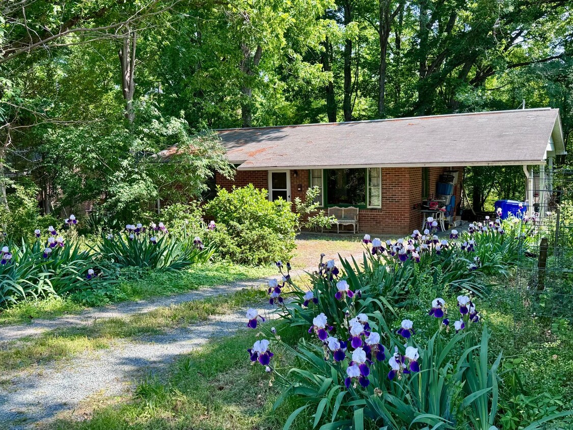 Foto principal - Charming Ranch in Carrboro with Beautiful ...