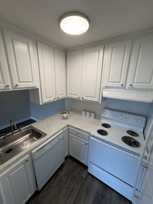 Foto del edificio - 1005 Hickory Hill Ln
