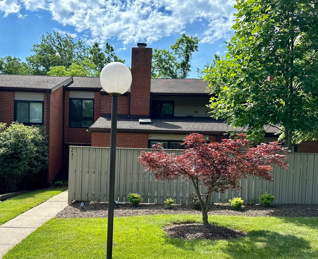 Primary Photo - 237 Deer Fox Ln