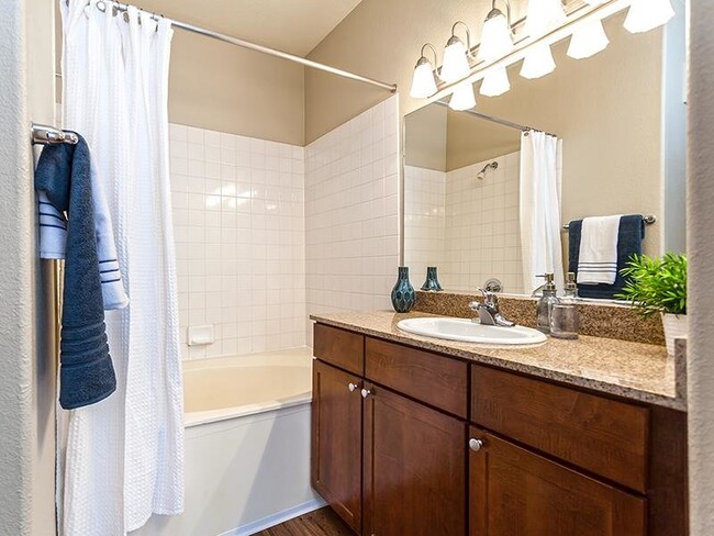 Caspian/Aegan Master Bathroom Premier - The Avondale