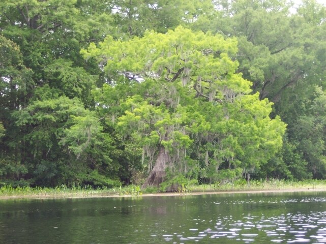 Frente al río - 8271 W C 48