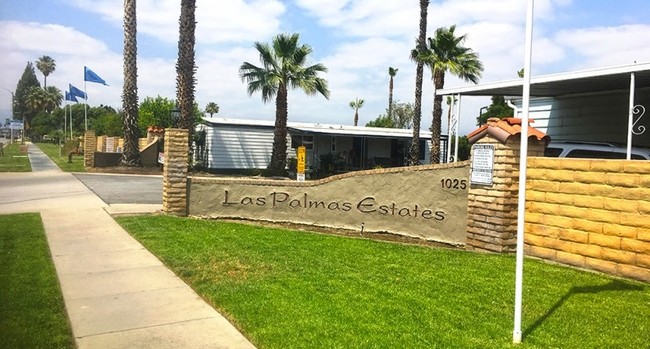 Building Photo - Las Palmas Estates