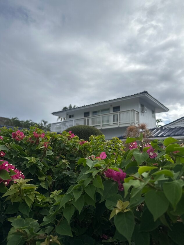 Gorgeous - 33 Nawiliwili St (Honolulu, HI)