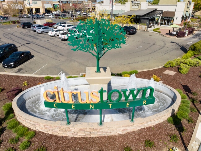 Citrus Town is a Thriving, Modern Shopping Experience in the Golden Oaks Neighborhood