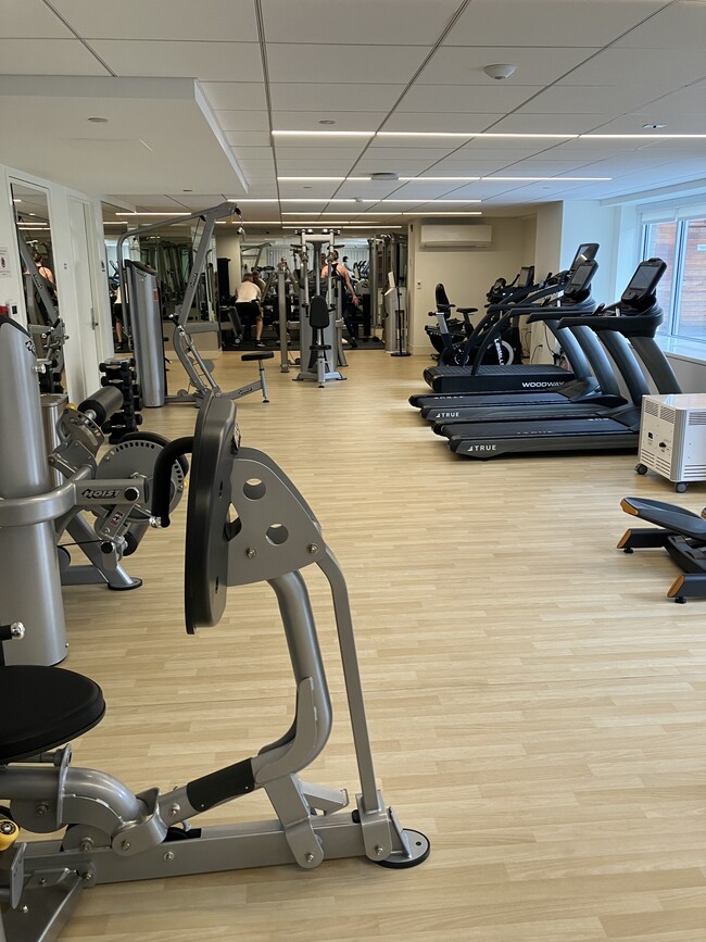 Gym - 151 Tremont St