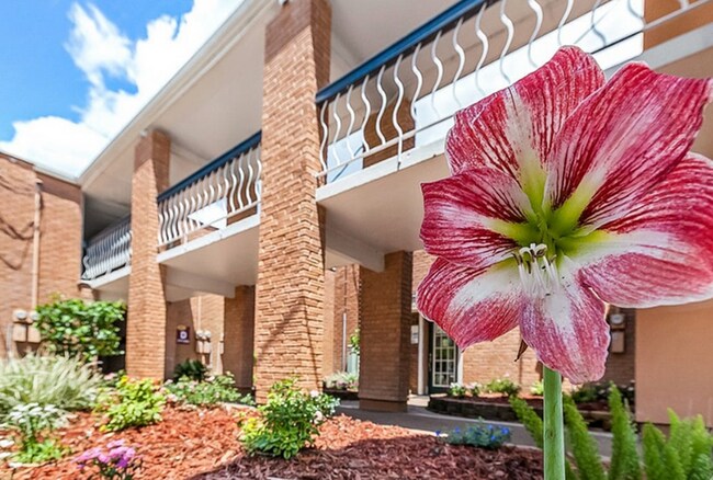 Foto del edificio - Forestwood Apartments