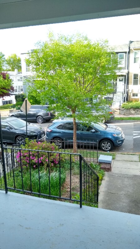 Building Photo - 1121 Oates St NE