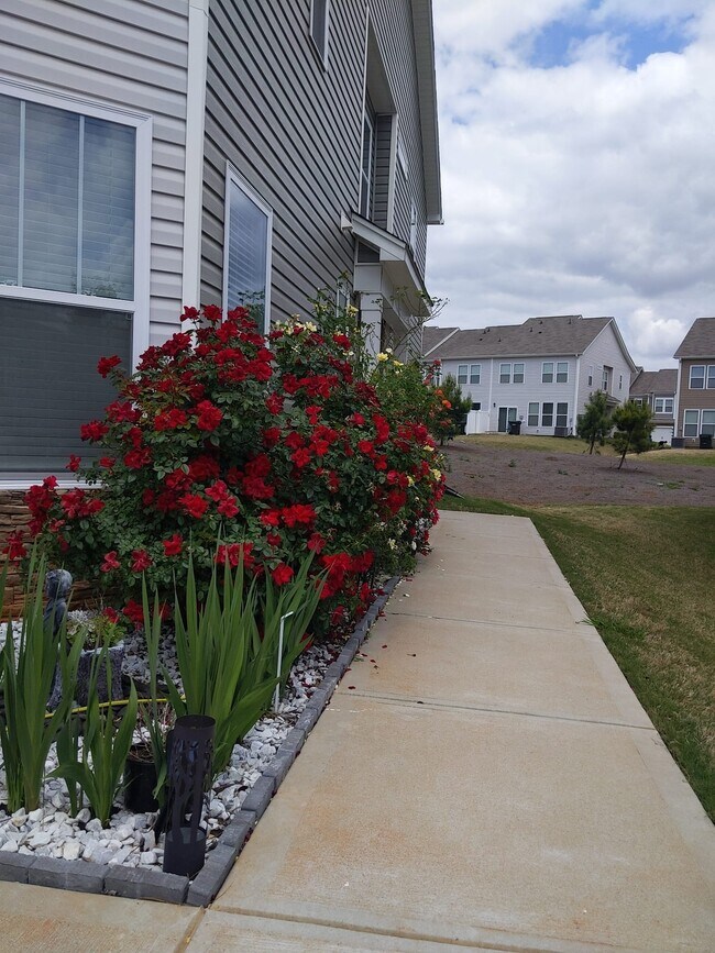 Photo - 25 Planters Pl Townhome