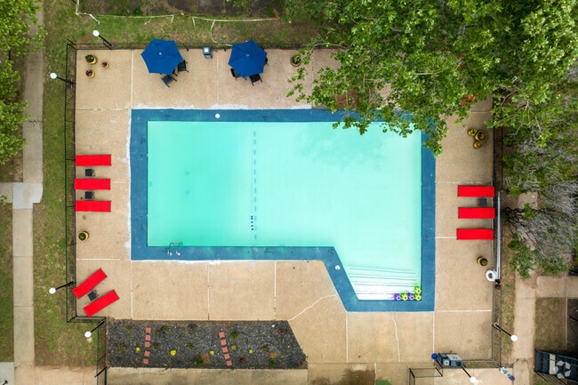 Piscina principal - Charleston Apartments