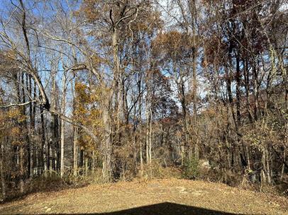 Building Photo - 430 Lytle Cove Rd