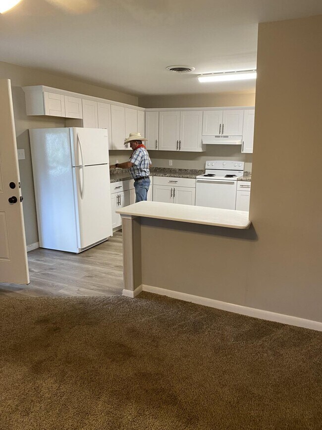 NEWLY REMOLDED KITCHEN - 1529 Jennifer St