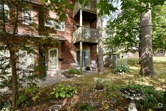 Building Photo - 11 Meadow Ln