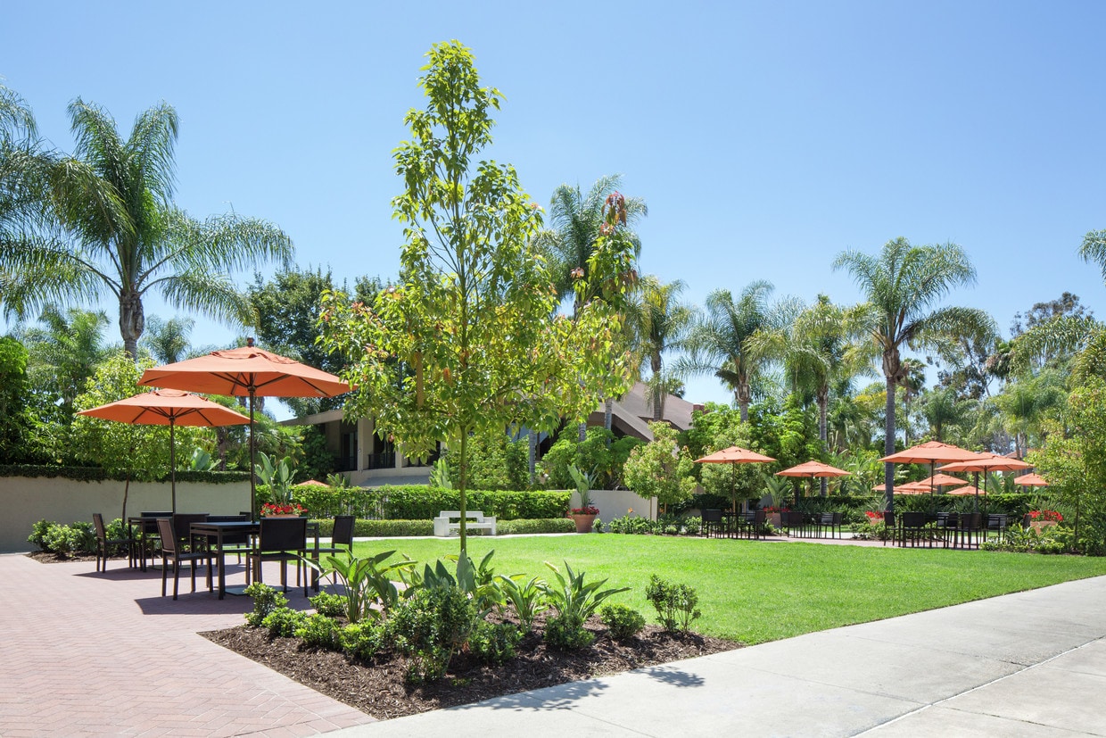 3701 Parkview Ln Irvine Ca 92612null
