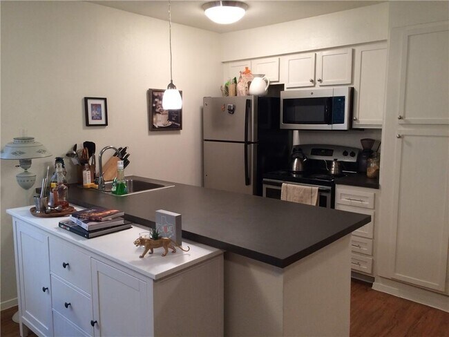 Foto del edificio - 1117 Hollow Creek Dr