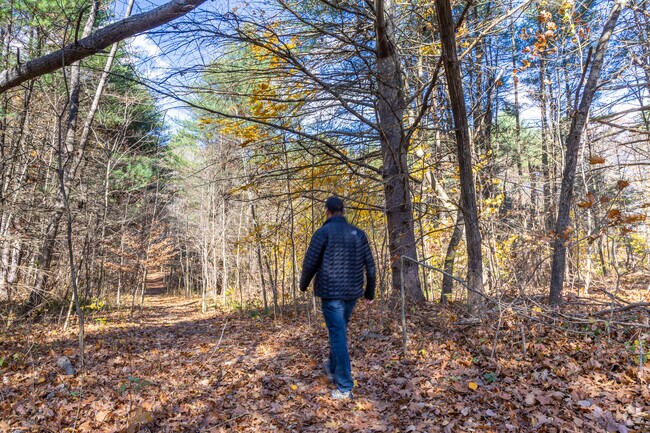 Residents can enjoy the hike at Pinnacle Park towards the summit in Hooksett.