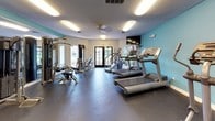 This fitness center offers a comprehensive workout environment designed to accommodate a variety of exercise routines. The space is immediately recognizable by its vibrant teal accent walls contrasted against neutral gray ceilings and crisp white trim, creating an energizing atmosphere conducive to physical activity. Durable dark rubber flooring spans the entire area, providing both safety and functionality underfoot.

The cardio section is well-appointed with multiple treadmills, elliptical trainers, and a recumbent bicycle, giving users a broad selection of low- and high-impact options. For strength training, the facility includes a multi-function cable machine, a weight bench, and additional resistance equipment, ensuring a thorough full-body workout is achievable. A wall-mounted flat-screen television adds entertainment for those logging extended cardio sessions.

Bright flush-mounted fluorescent lighting illuminates the space evenly, while a ceiling fan contributes to air circulation throughout. Large glass-paned entry doors along one wall allow natural light to filter into the interior and provide views of the surrounding outdoor greenery. Additional interior doors connect to adjoining utility or storage areas. A posted facility rules placard and hand sanitizer dispenser reflect thoughtful attention to cleanliness and user guidelines, making this a well-maintained and user-friendly fitness facility.